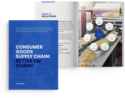 Consumer goods supply chain_minibook