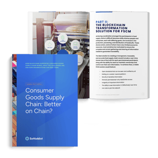 Consumer goods supply chain_minibook