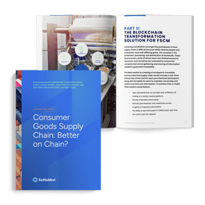 Consumer goods supply chain_minibook