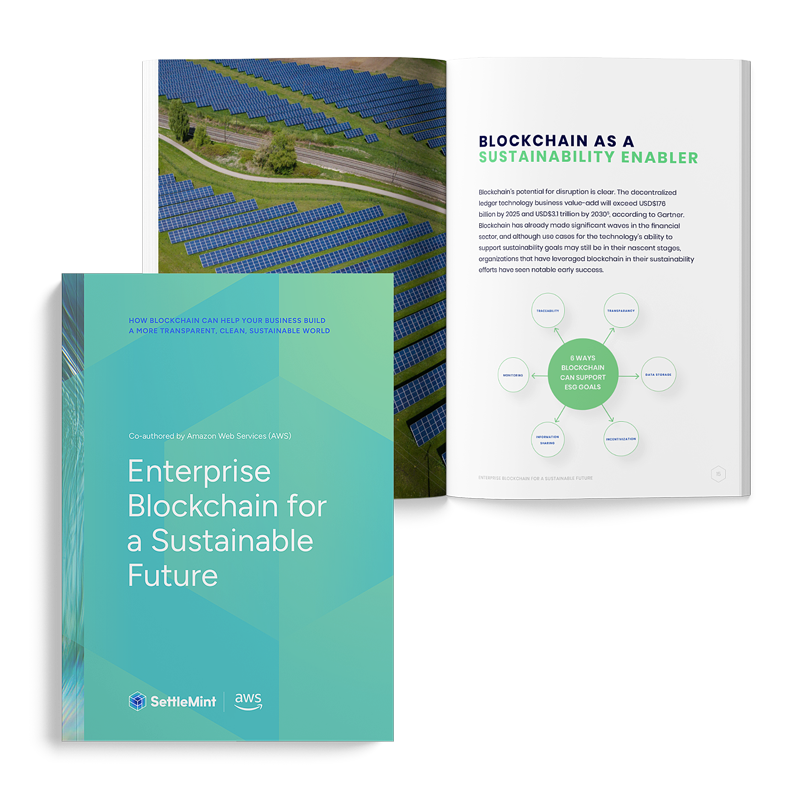 Download: Enterprise blockchain for a sustainable future