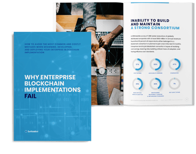 SettleMint-minibook_why-enterprise-blockchain-implementations-fail_