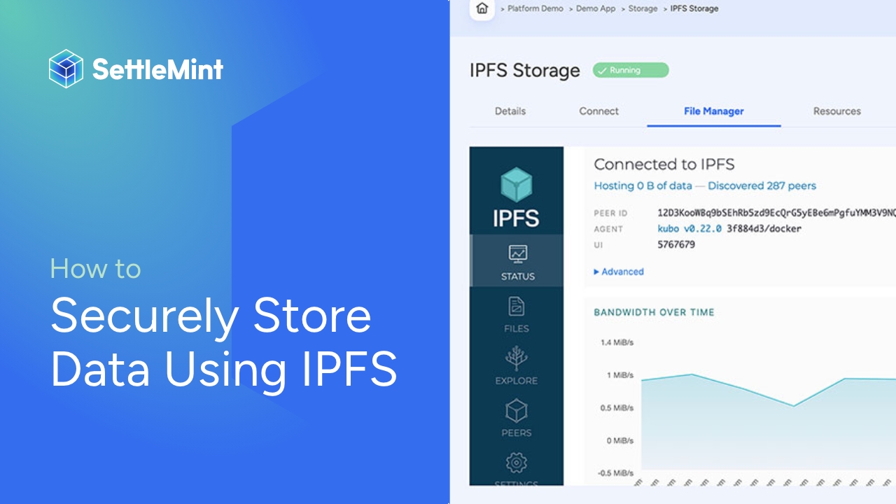 SettleMint_IPFS