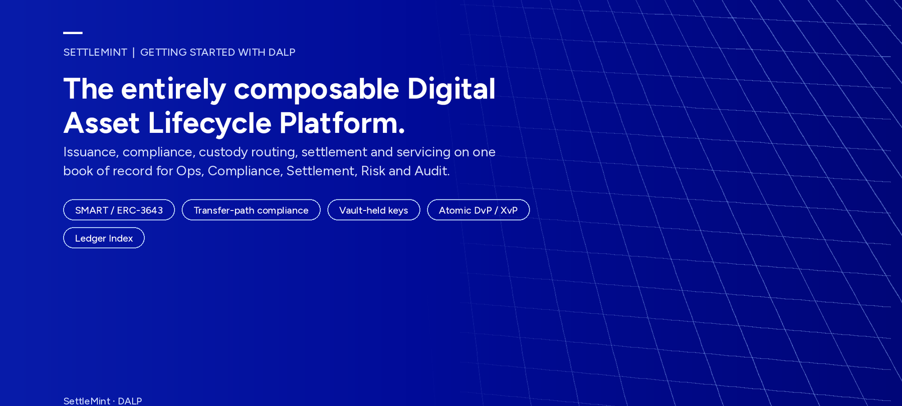 Digital Asset Lifecycle Platform vs Blockchain Stack