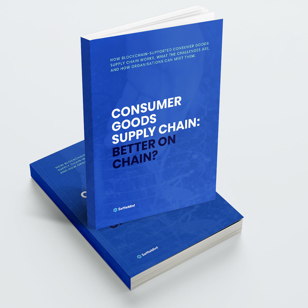 Li_FoodSupplyChain_minibook_1200x1200_1