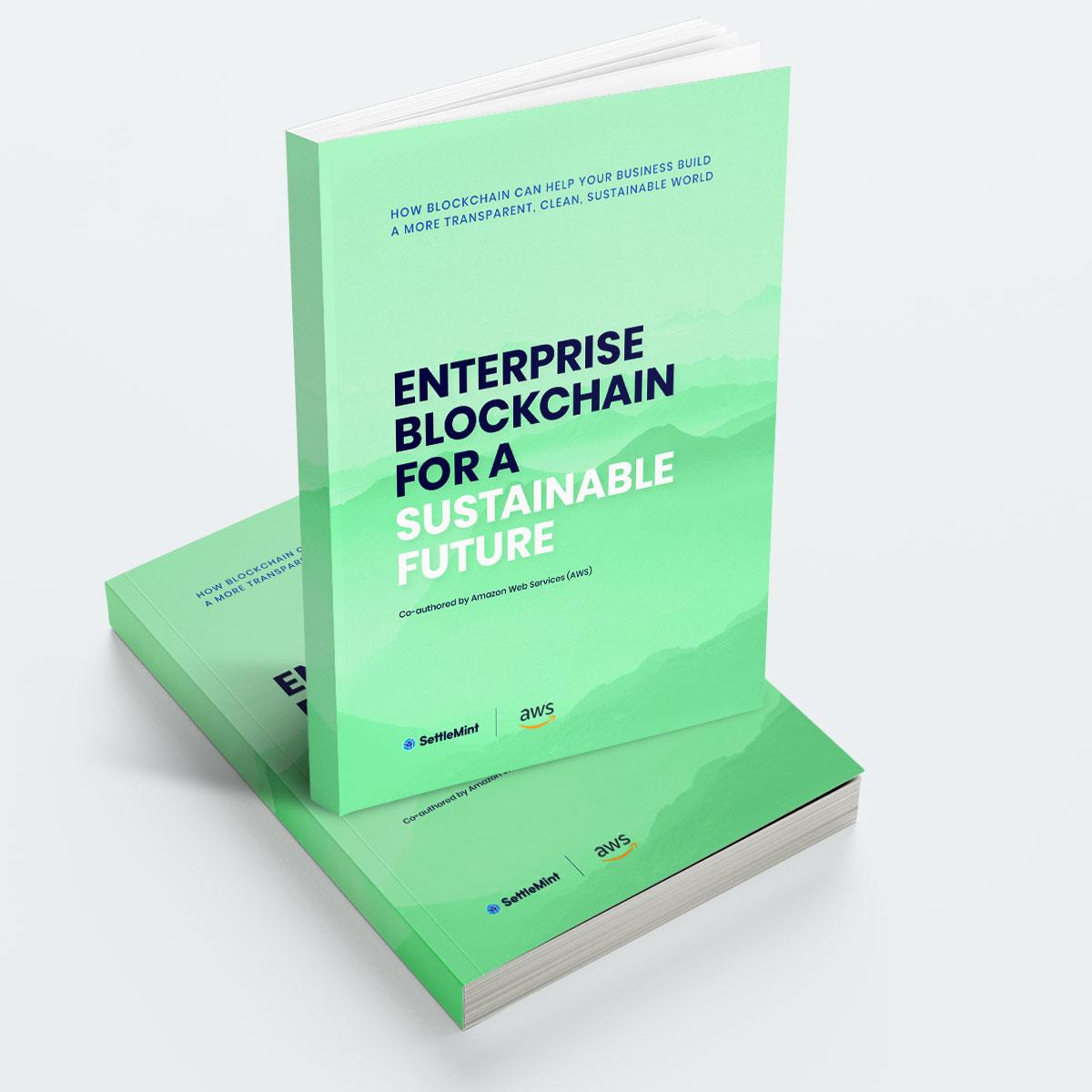 Minibook: Enterprise Blockchain for a Sustainable Future